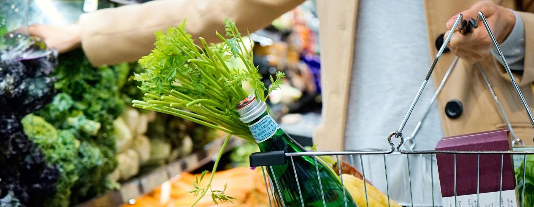 a person holding a shopping cart full of vegetables